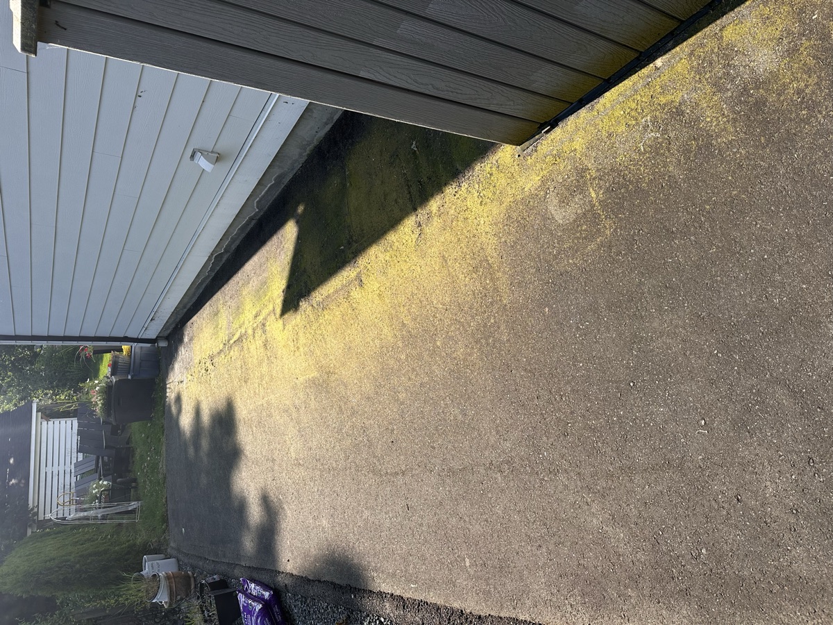 Concrete retaining wall with algae and moss before cleaning in Chilliwack