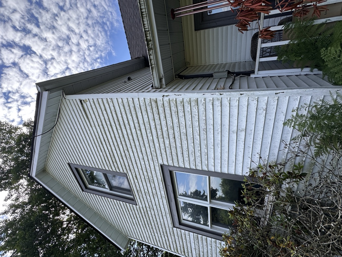 House siding covered in algae before soft wash house washing in Chilliwack
